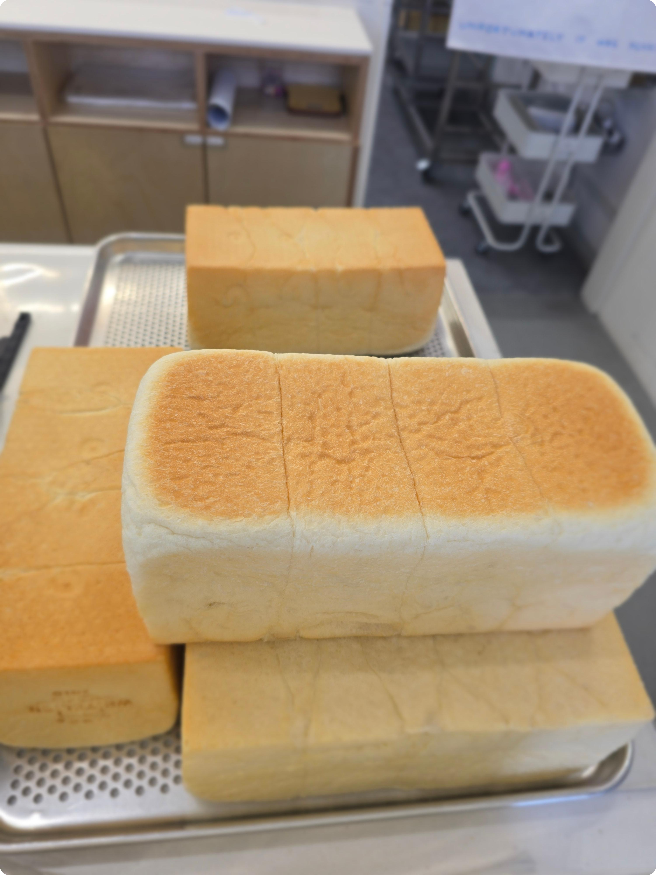 화이트리에 생식빵