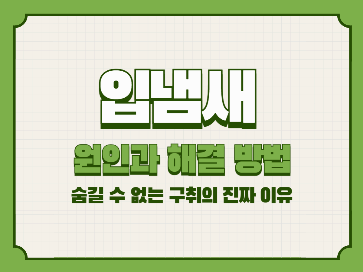 입냄새 원인과 해결 방법 – 숨길 수 없는 구취의 진짜 이유