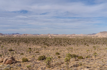 쳇지피티 무료 사용 홈페이지
