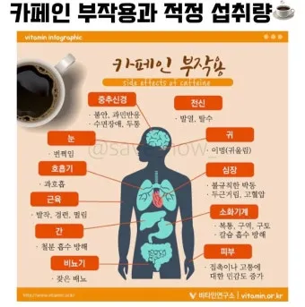 카페인 부작용 중독 증상 두통 원인 정리 정보_5