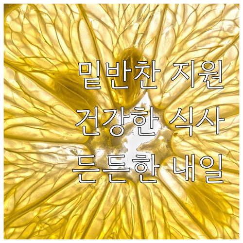 2025년 재가장애인 밑반찬 지원: ..