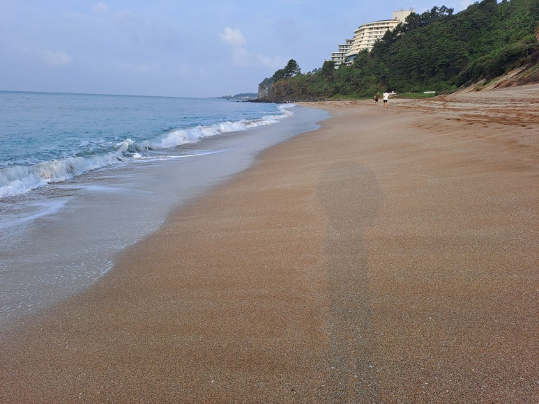 제주도 여행비 3만원 지원