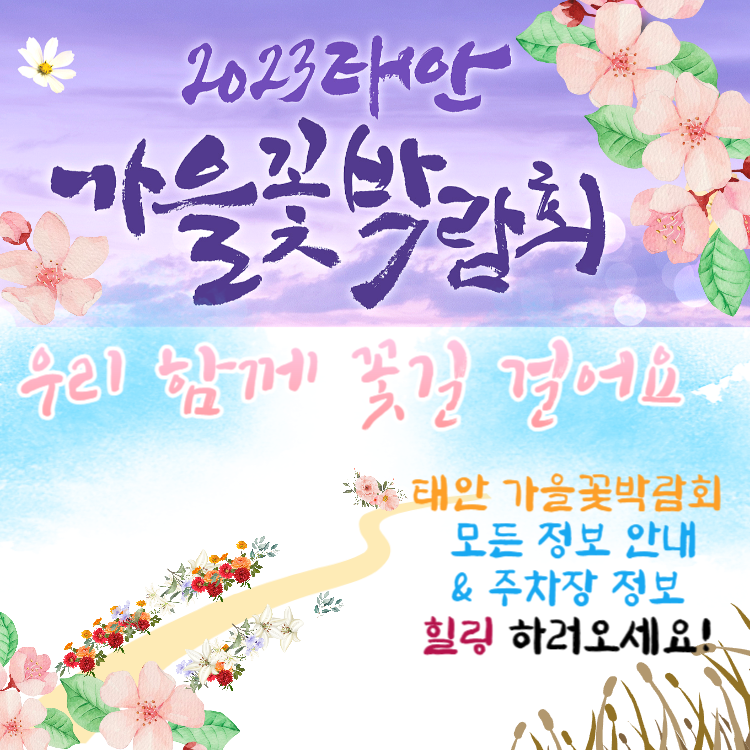 [당일치기 추천] 태안 가을꽃박람회 코리아플라워파크 행사정보 및 주차장 안내