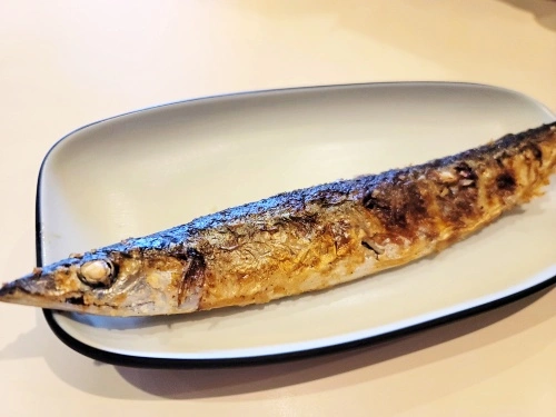 꽁치