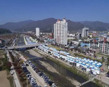 풍기 인삼축제_3