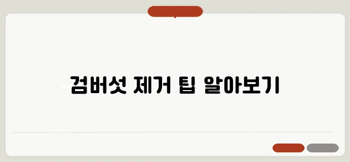 검버섯 없애는 법: 효과적인 제거 방법과 예방법