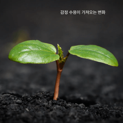 하루 10분, 감정 수용 훈련|실천 가능한 연습법 5가지