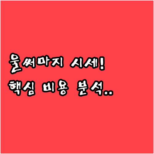 울쎄라 써마지 복합 리프팅 시세와 샷..