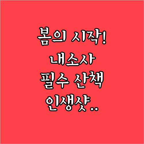 봄의 시작을 알리는 부안 내소사 전나..