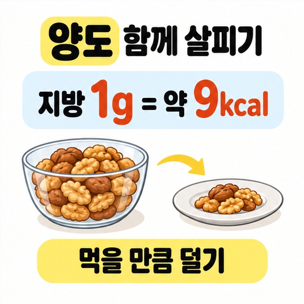 지방 1g은 약 9kcal라는 수치와 큰 견과류 그릇에서 작은 접시로 덜어 먹는 모습을 함께 보여 주는 그림