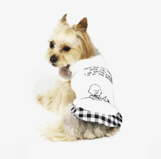 펫파라다이스 코튼 티셔츠