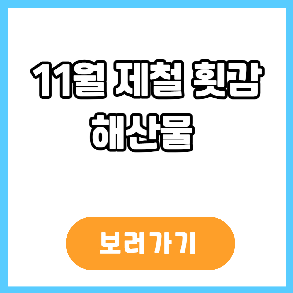 11월 제철 횟감 해산물