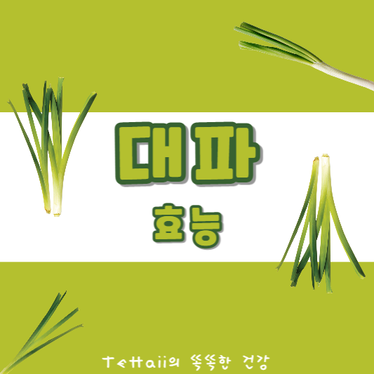 대파 효능 대표