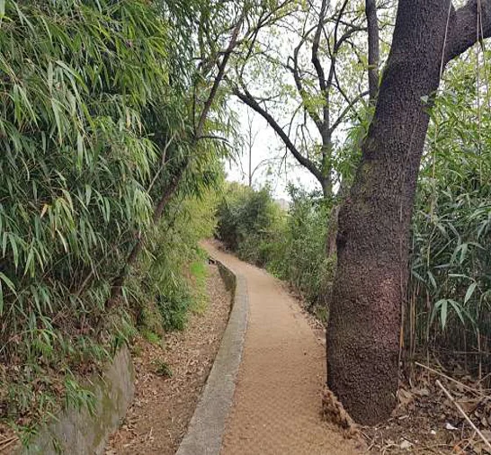 비봉산