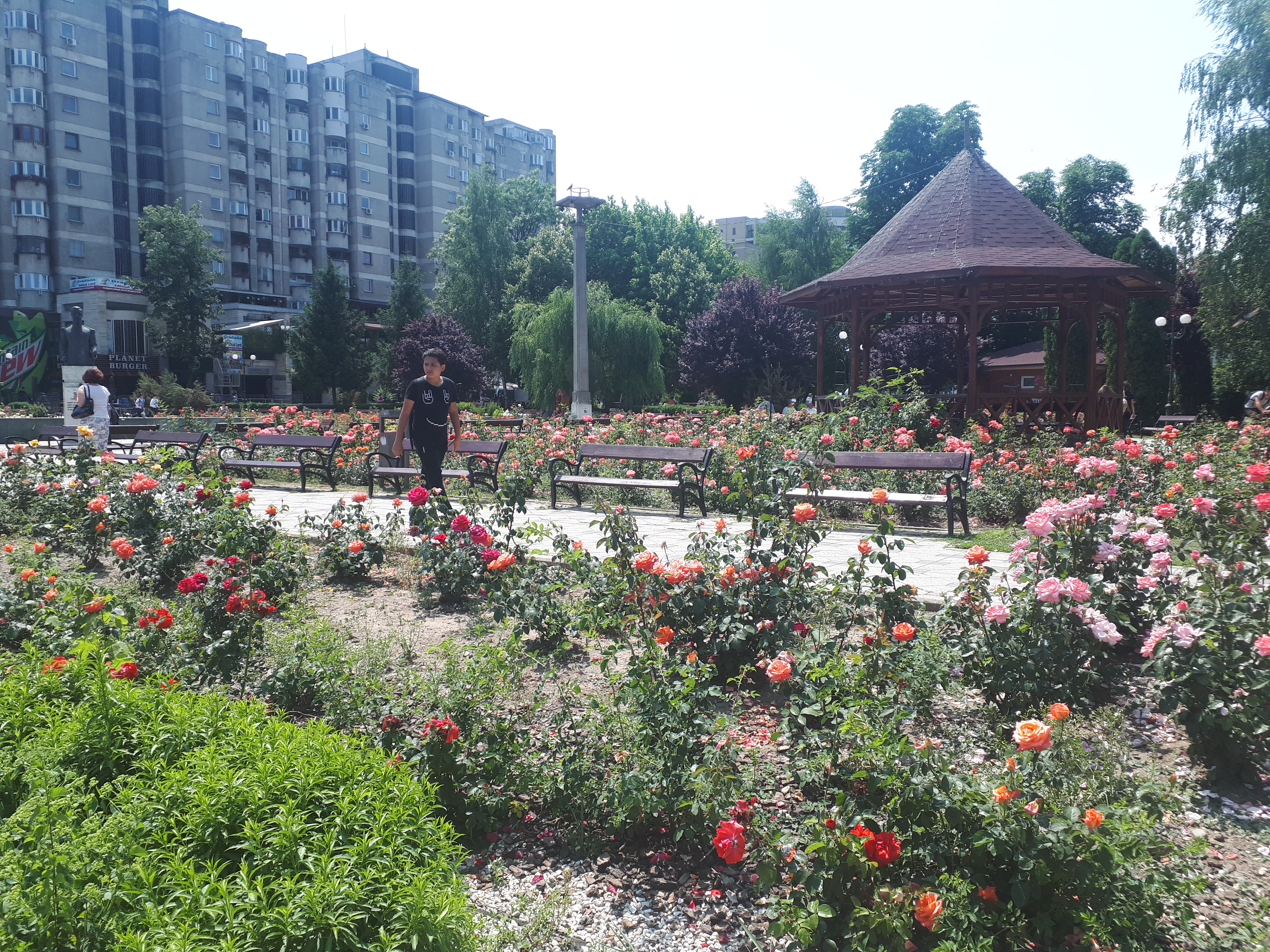 루마니아 바커우 주님의 승천 대성당 앞 꽃밭