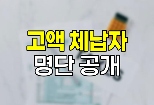 고액 상습 체납자 명단 공개, 국세청의 강력한 조치