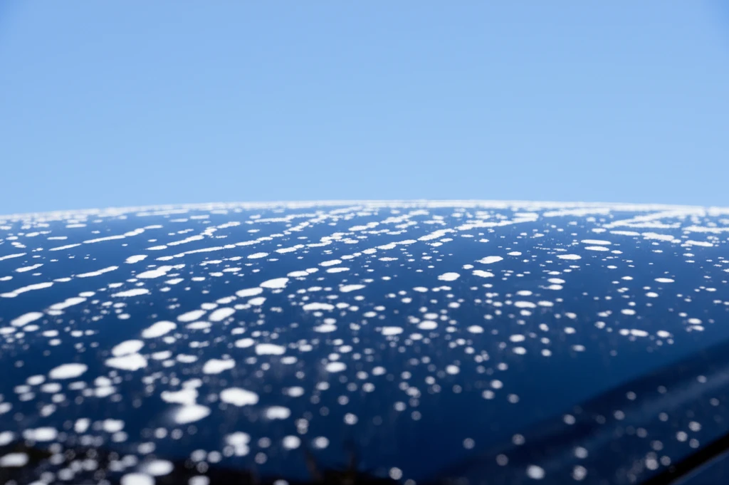 물자국 완벽 제거 및 예방: 초보자를