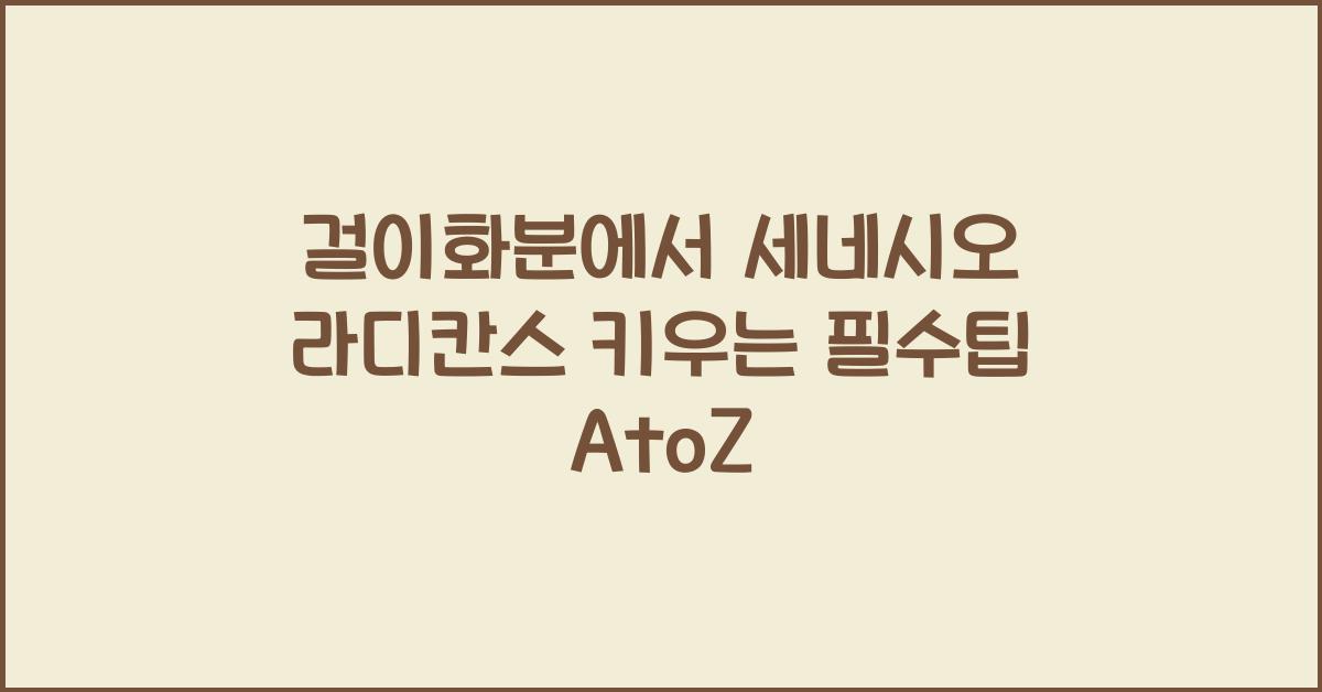 걸이화분에서 세네시오 라디칸스 키우는 필수팁