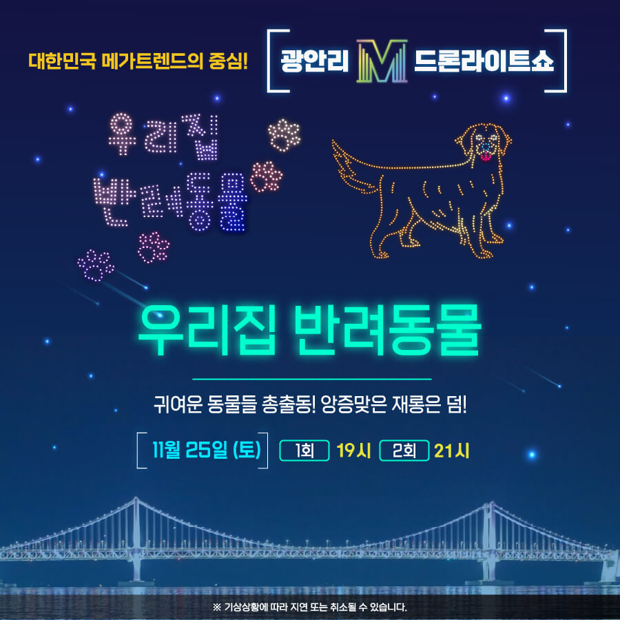 광안리드론쇼 포스터