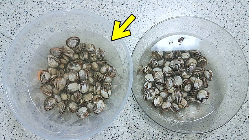 꼬막-빨리-해감하는법