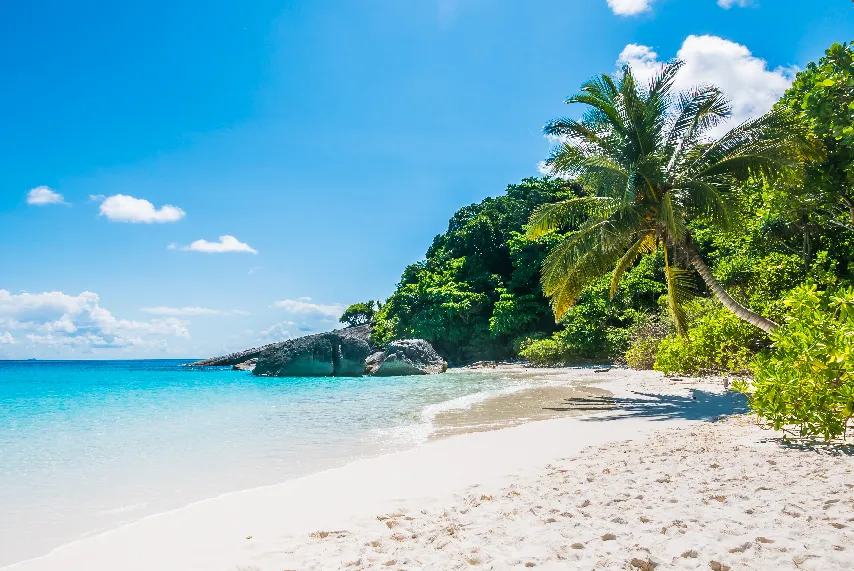<a href="https://kr.freepik.com/free-photo/tropical-beach-with-white-sand_974747.htm#from_view=detail_alsolike">작가 mrsiraphol 출처 Freepik</a>