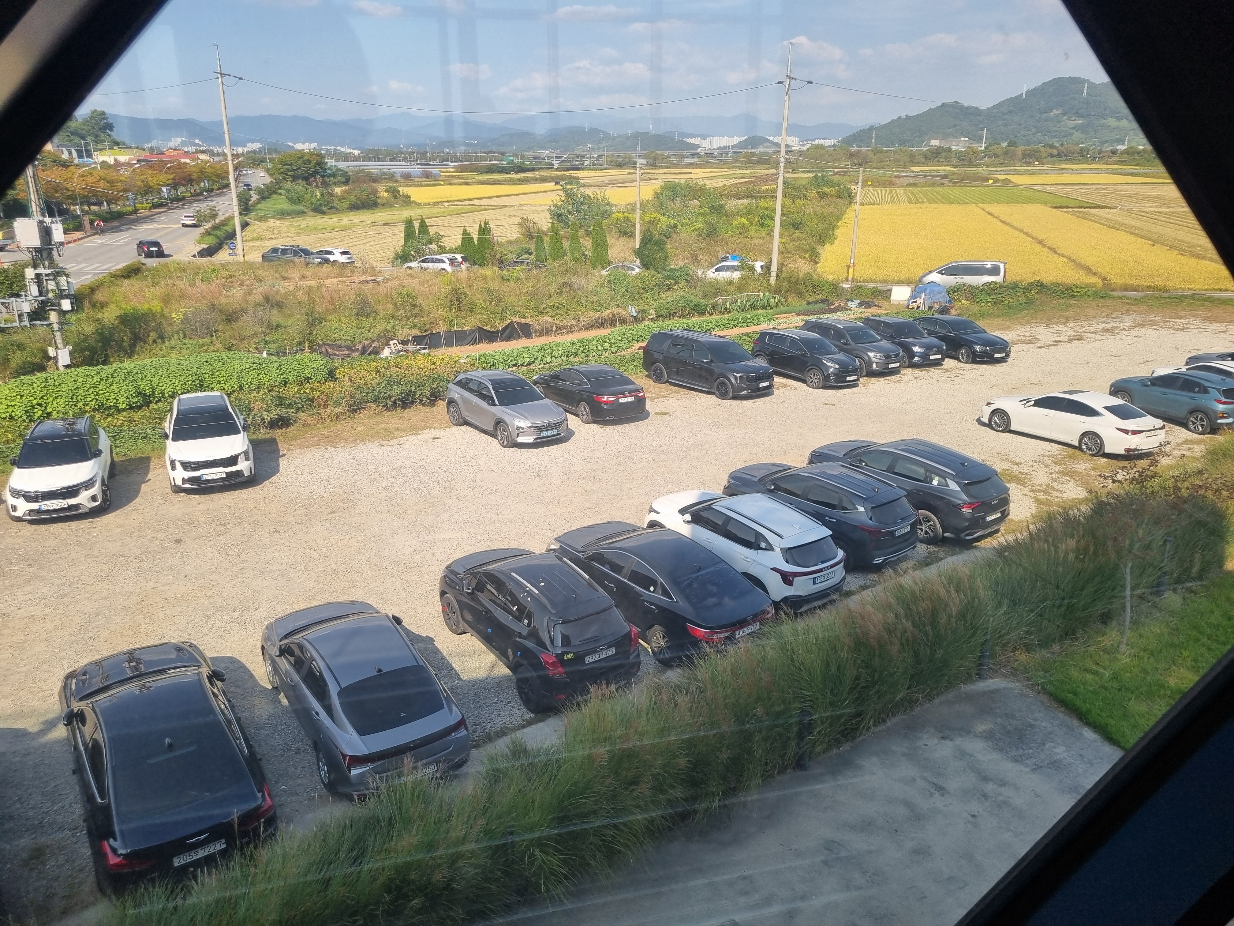 순천만487카페