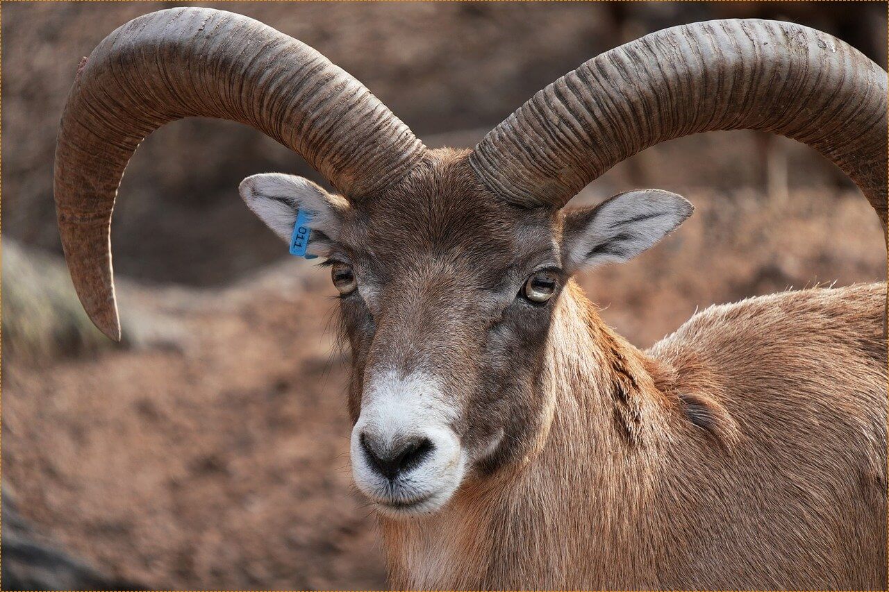 정기예금 금리 가장 높은곳
