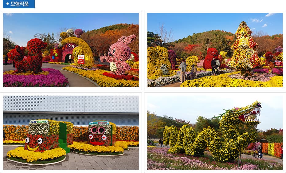 2025 대구수목원 국화전시회
