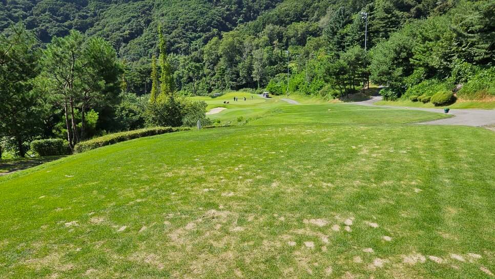 골프장 경험담 충주 세일cc 샷의 정교함이 필요한 골프장
