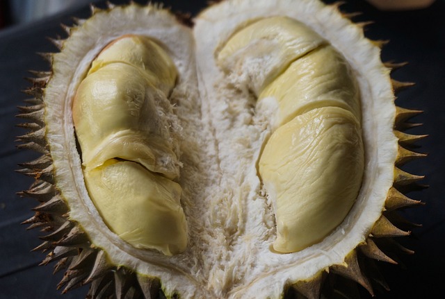 두리안의 효능 12가지, 맛의 종류와 주의점