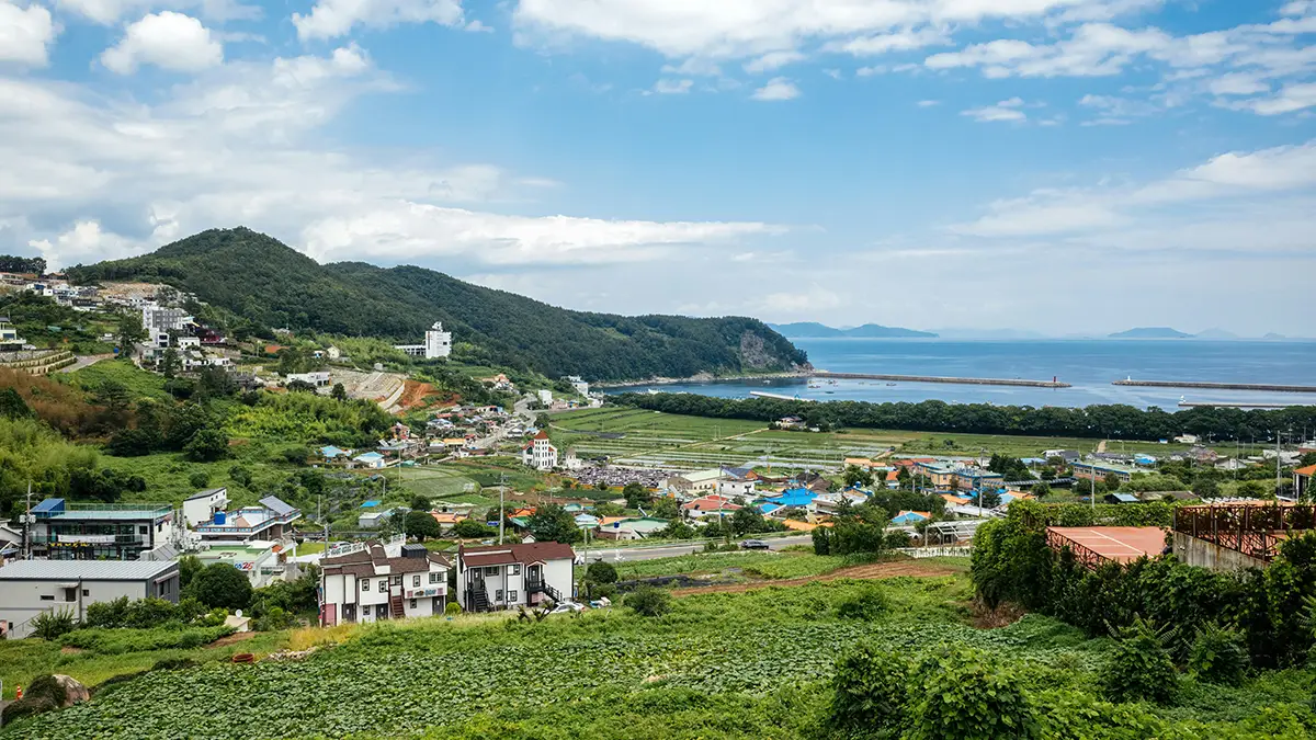 제주 오일장 골목에서 살아 숨 쉬는 전통 생활 문화