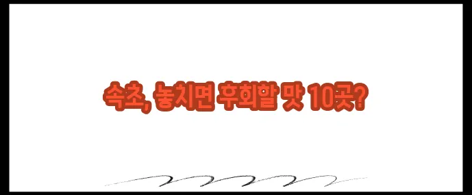 속초 맛집 베스트10 (+현지인 강력 추천)