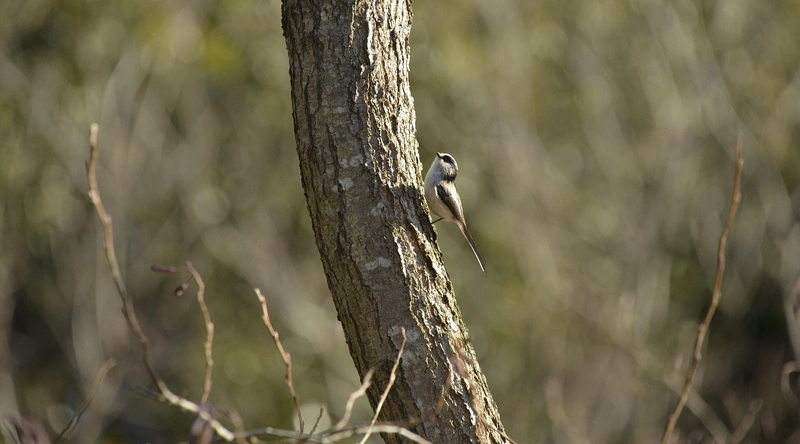 정보처리기사 합격 후기