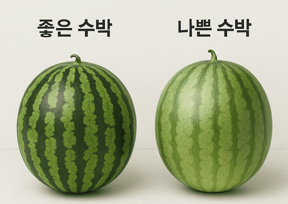 좋은수박 나쁜수박