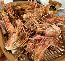 꽃새우머리