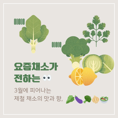 요즘채소의 3월 제철채소 가이드
