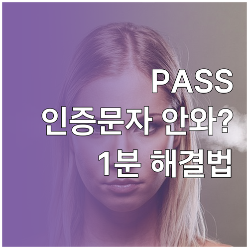 PASS 인증 문자 안 올 때 원인과..