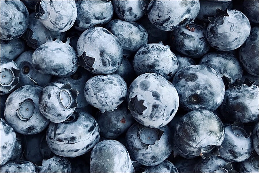 블루베리 효능 10가지