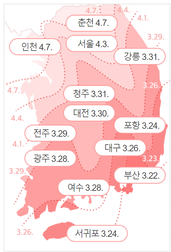 벚꽃개화시기 2024