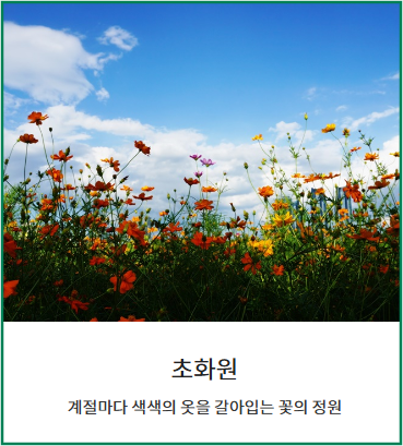 태화강 국가정원 봄꽃축제-초화원