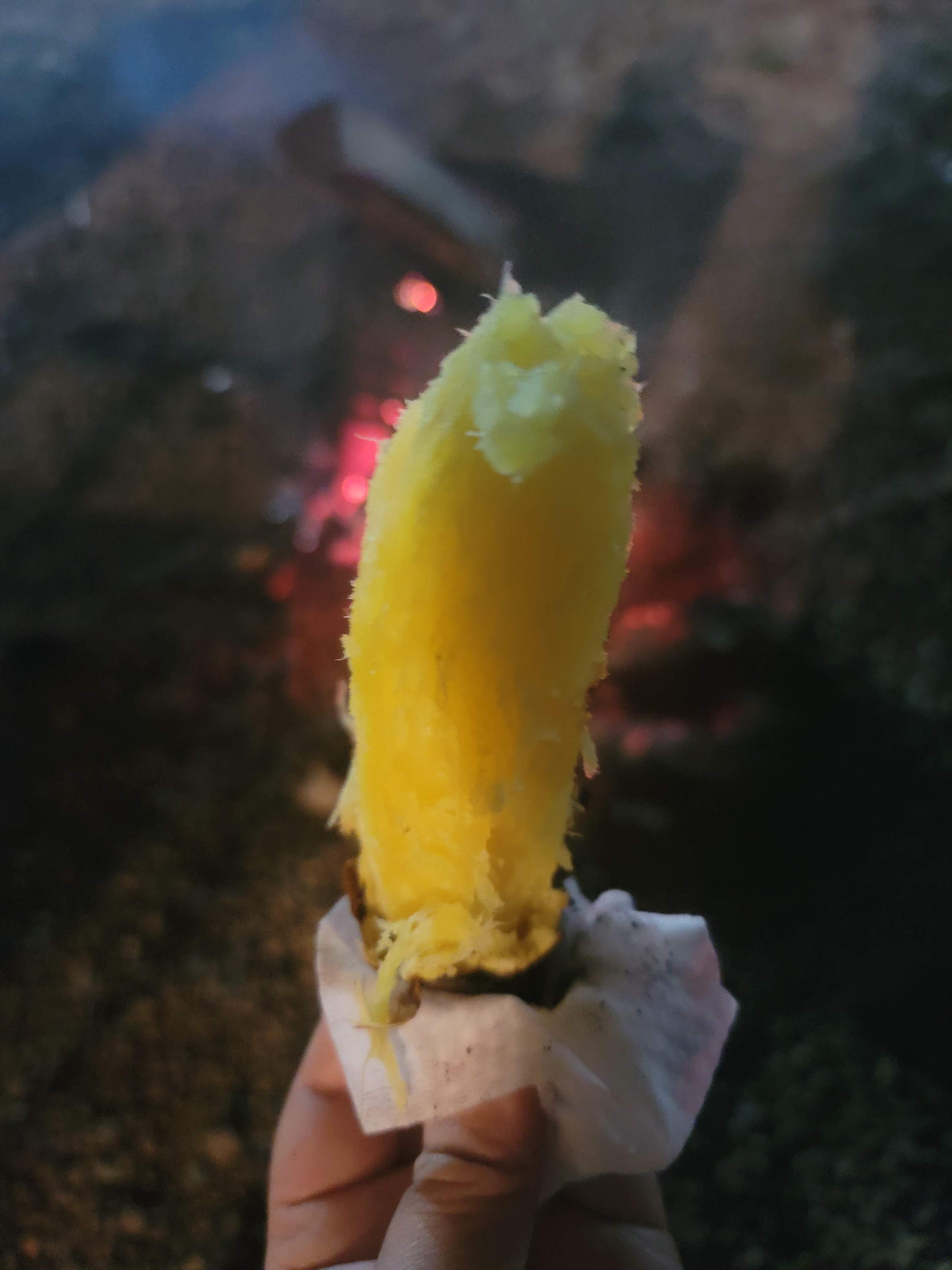 캠핑음식