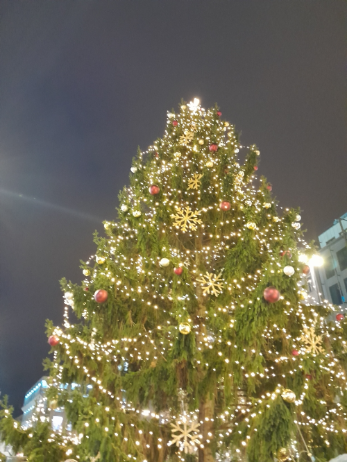 크리스마스마켓 사진입니다