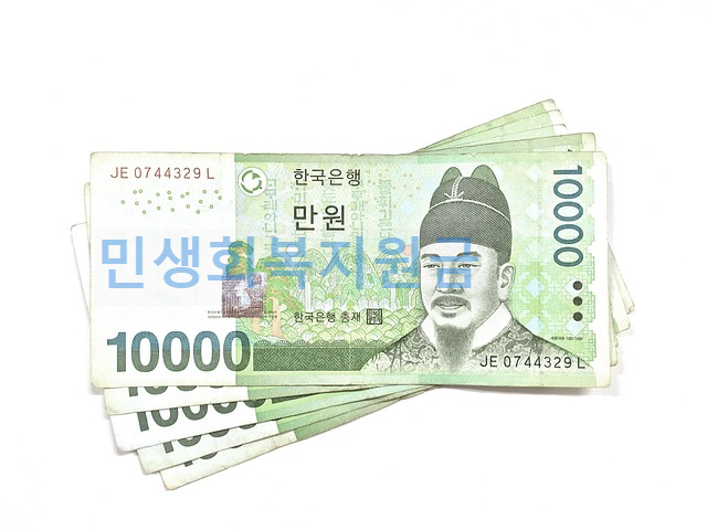 민생지원금