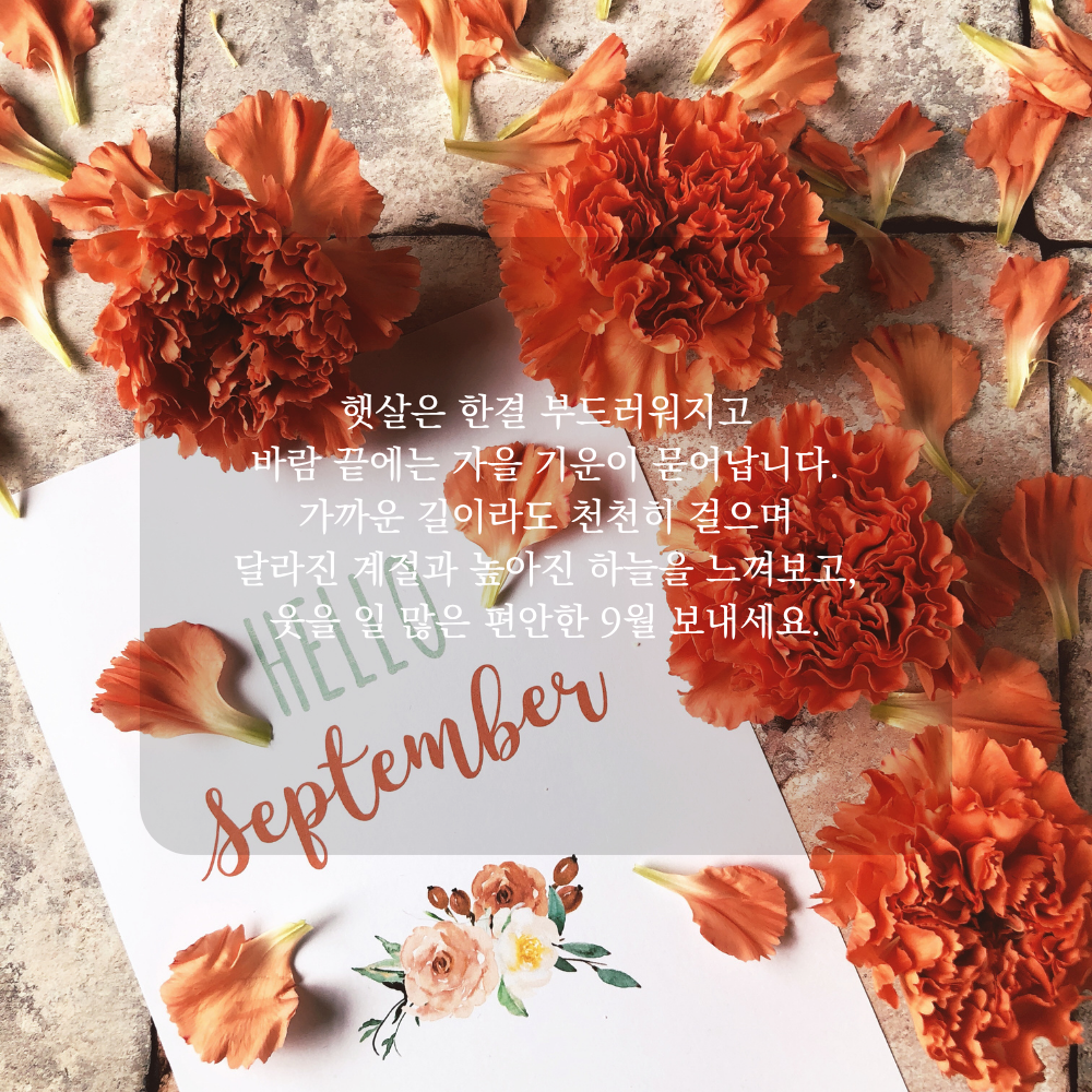 9월 가을 인사말 - 부드러운 햇살과 맑은 하늘