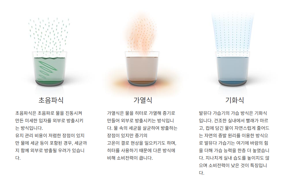 발뮤다 가습기