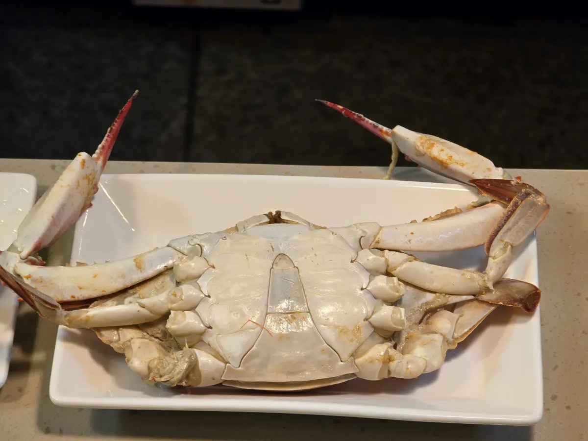 즐거운 술상 19번째 코스 음식: 꽃게찜