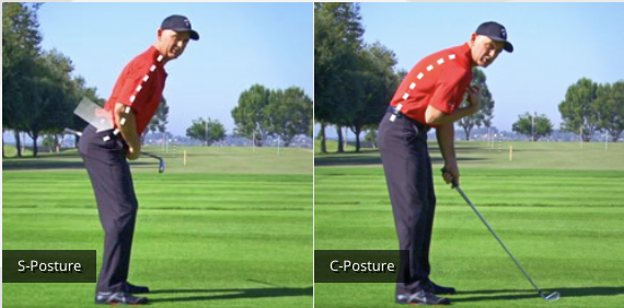 골프 어드레스 오류 유형 사진