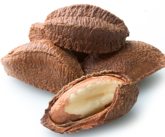 브라질 너트 전립선