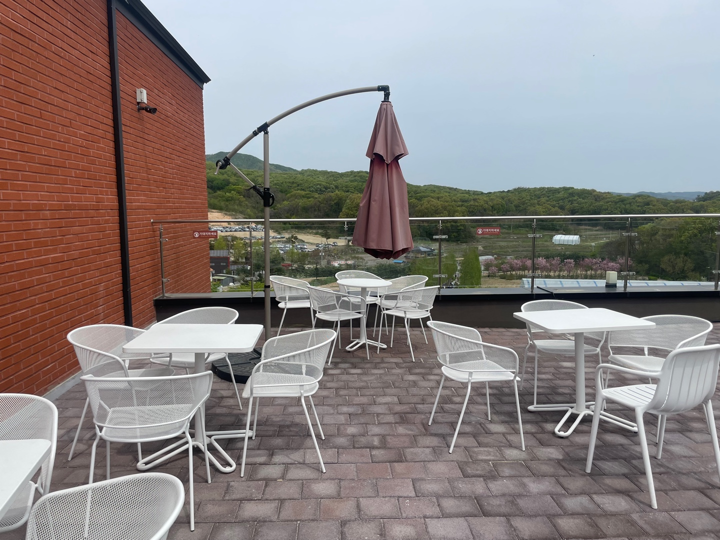 용인 자작나무숲 베툴라 대형 베이커피 카페