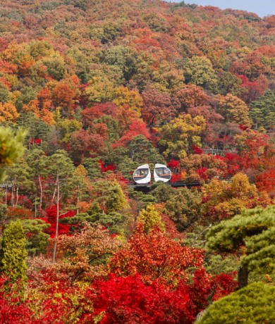 11월 단풍축제 가볼만한곳 BEST 10